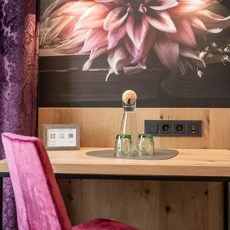 ホテル Zehnerkar & 4*