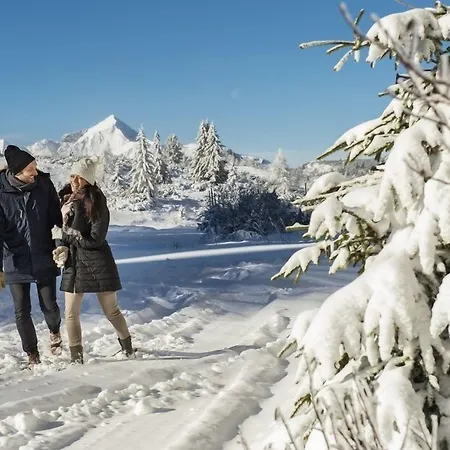 Zehnerkar & ホテル オーバータウエルン